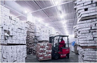 上海到浙江冷鏈物流公司上海到浙江冷鏈?zhǔn)称坟涍\(yùn)專線找價(jià)