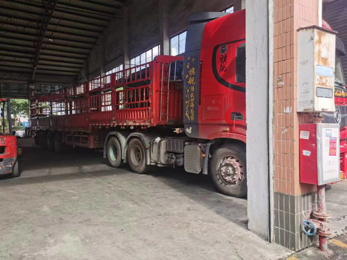 佛山運輸?shù)椒谖骺h物流直達專線用心前行2025全 境 閃 運保時效