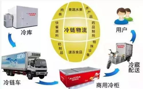 冷鏈物流 突破瓶頸、抓住機遇，推動普通貨運轉型升級